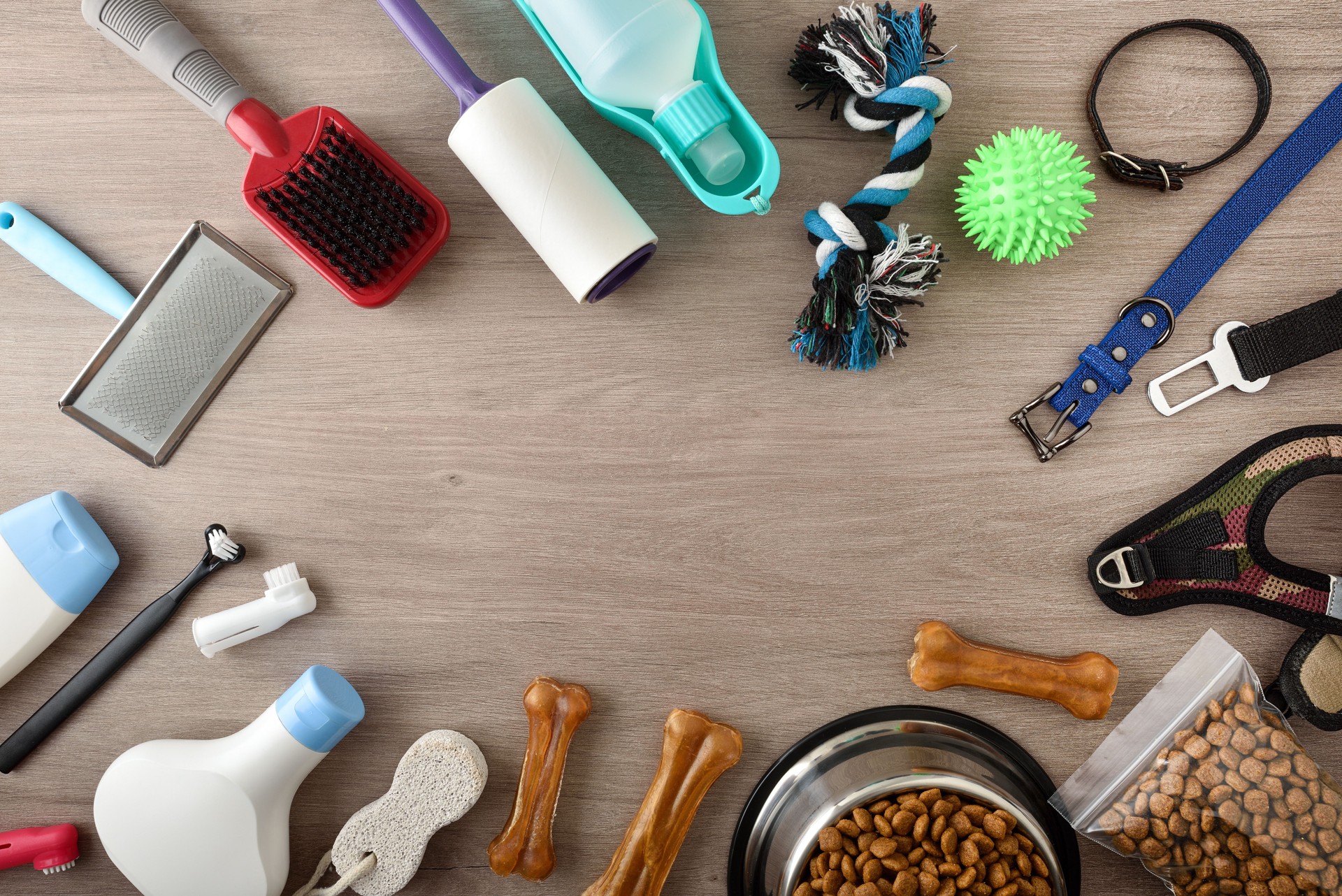 Food and accessories for the dog on wooden table frame